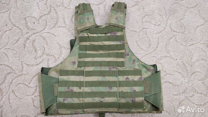 Плитник мох