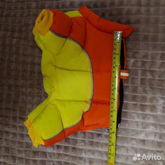 Одежда для собак