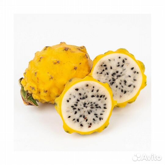 Питахайя желтая семена и саженцы