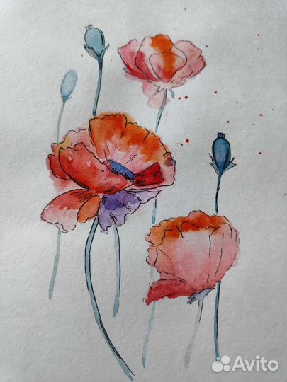 Акварельные скетчи. Туканы