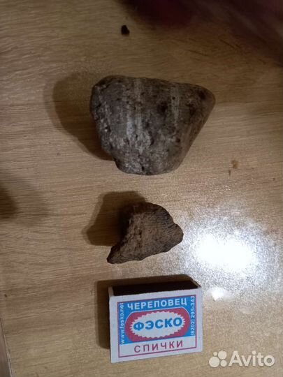 Окаменелость