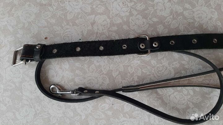 Поводок и ошейник для собаки