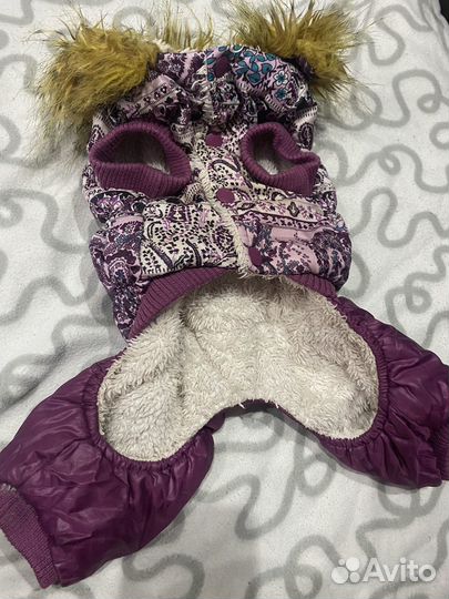 Одежда для собак мелких пород пакетом