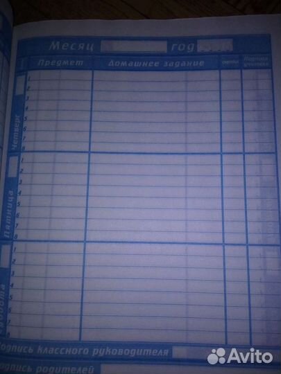 Школьный дневник с Иванушками