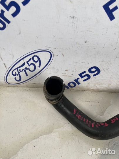 Патрубок радиатора нижний Ford Focus 3 CB8 1.6