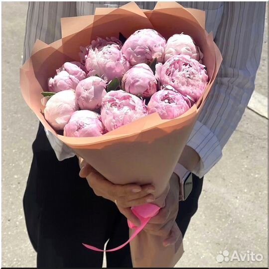 Пионы, Цветы 51