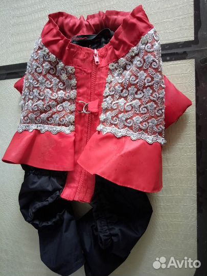 Вещи для собачки мопса девочки