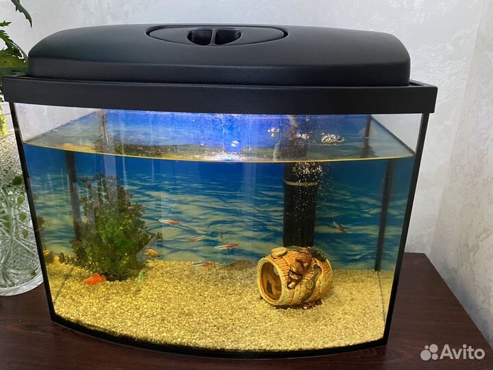 Аквариум с рыбками