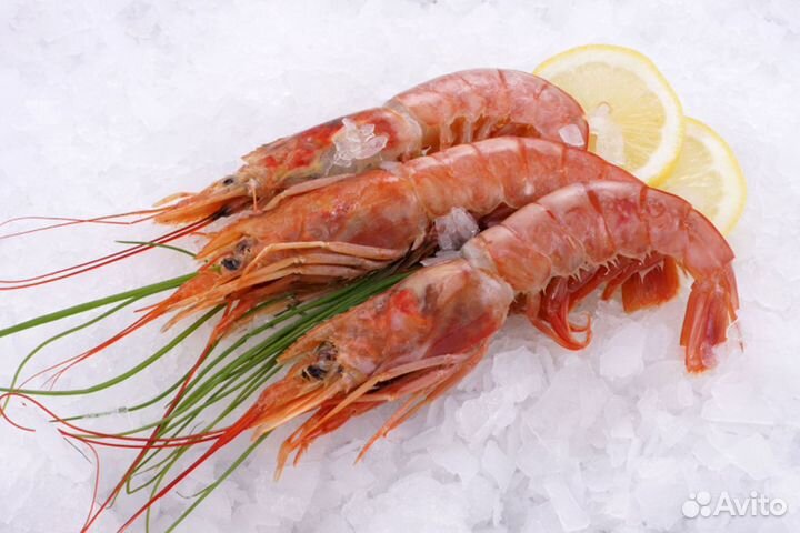 Лангустины l2