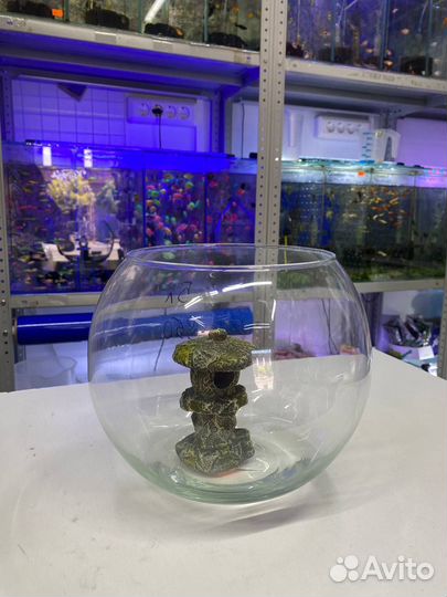 Аквариум круглый