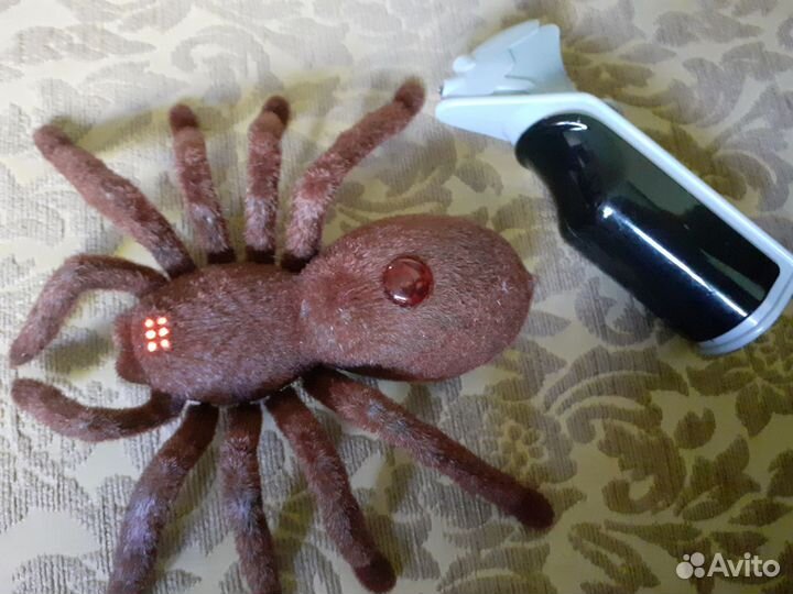 Паук на пульте управления