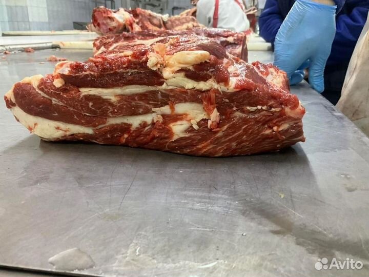 Мясо оптом говядина / мраморная говядина