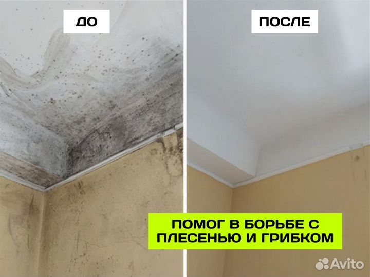 Уничтожение тараканов дезинфекция