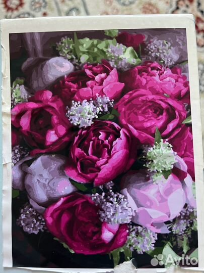 Картины по номерам 40/50 на подрамнике