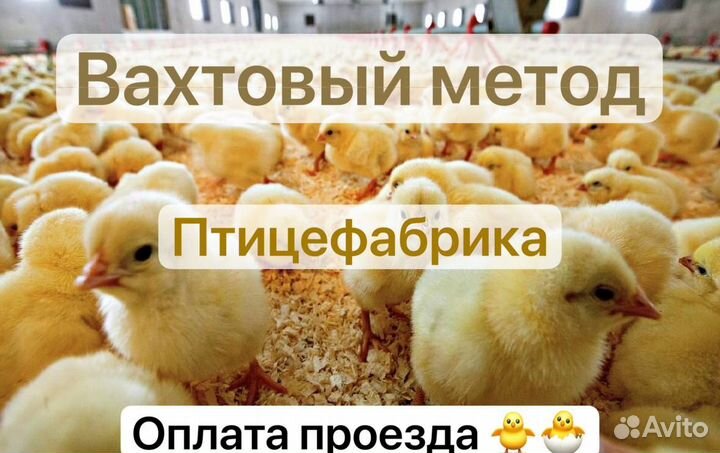 Вахта в Белгороде. Упаковщики