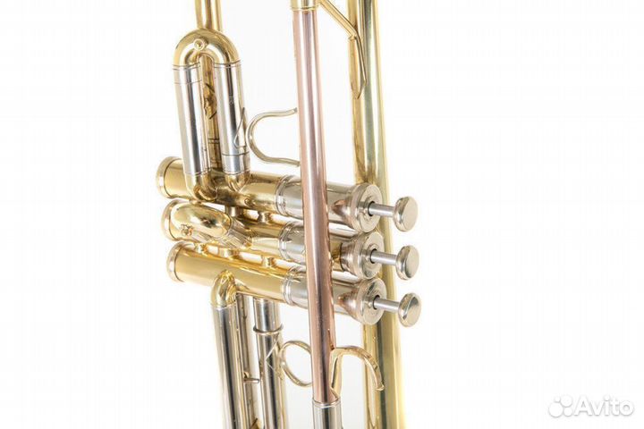 Труба Roy Benson TR-403