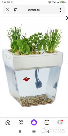 Аквариум - акваферма