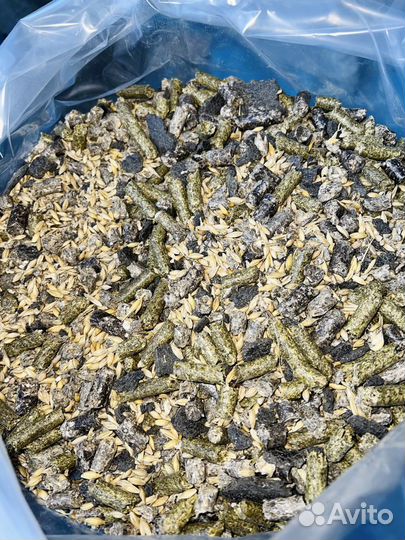 Зерно, зерносмесь, корма для сельхозживотных