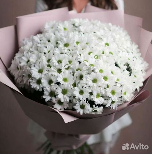 Хризантема Доставка цветов Букеты