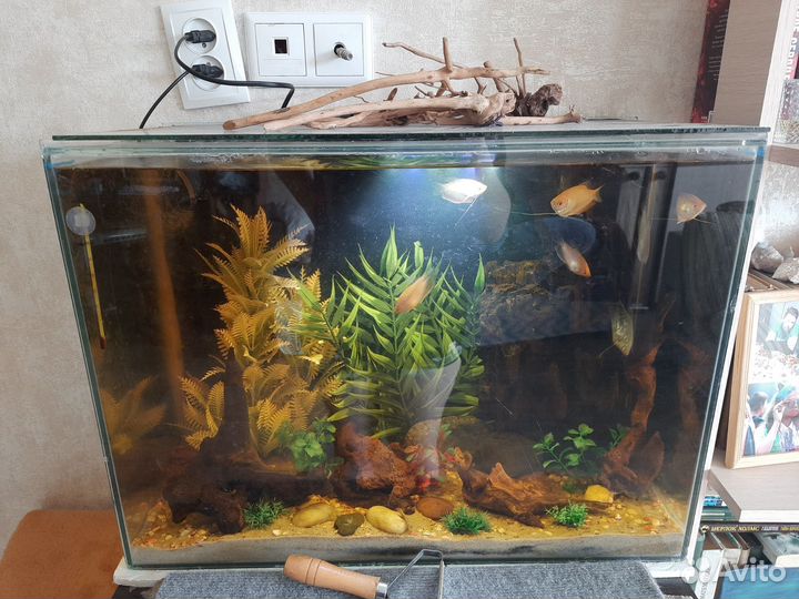 Готовый аквариум