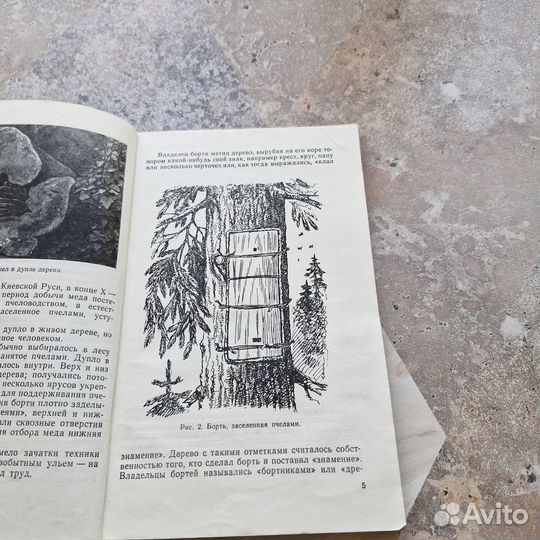 В мире пчел. Щербина. 1960 г