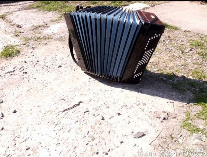 Баян тульский