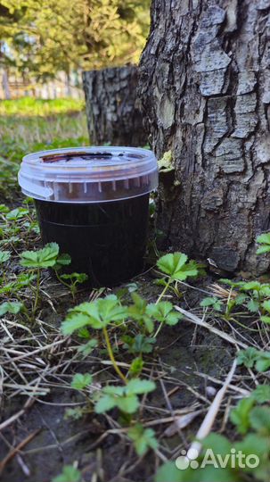 Нардек Арбузный мед