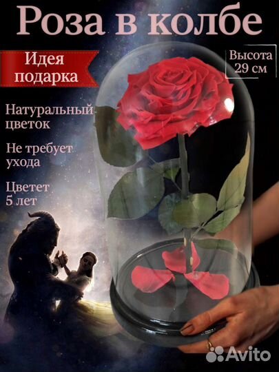 Роза в колбе