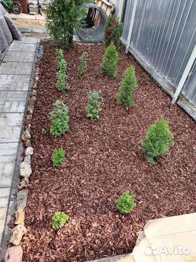 Кора сосны лиственницы мульча 50 л