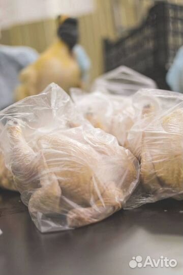 Домашний бройлер