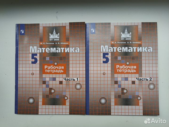 Рабочие тетради 5 класс информатика математика