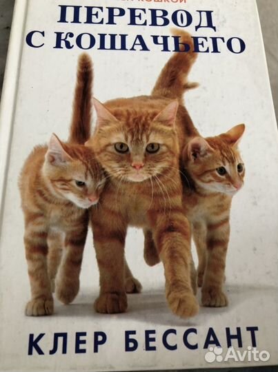 Книги о кошках