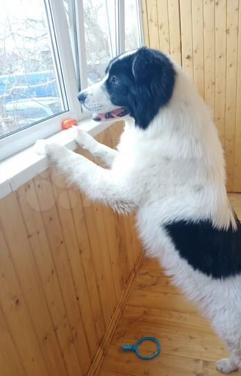 4-к. квартира, 72,6 м², 1/9 эт.