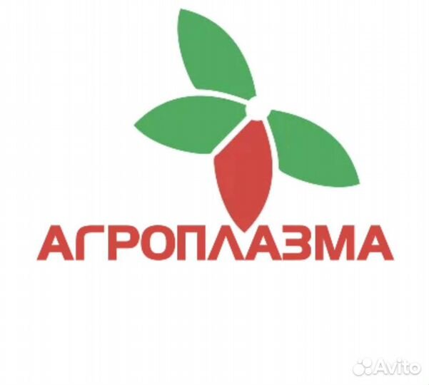 Семена подсолнечника гибрид