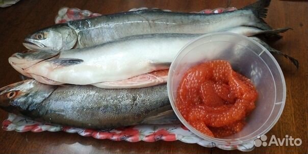 Горбуша охлажденная икорная из Белого моря