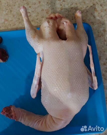 Домашняя свинина, курица