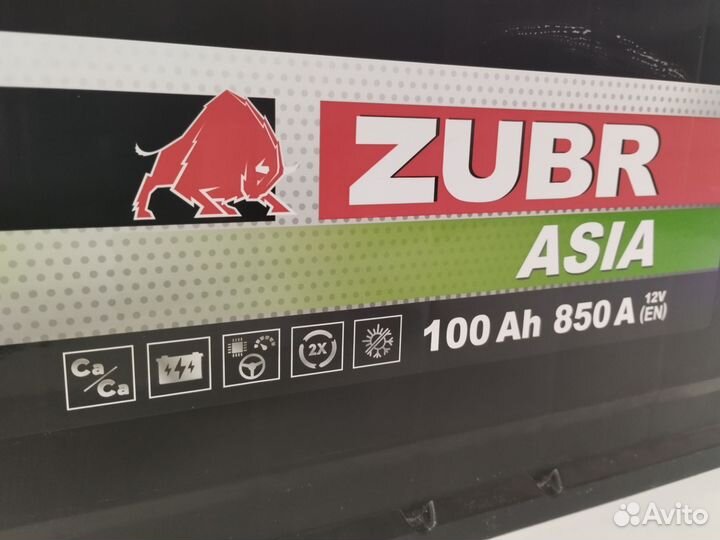 Zubr Asia 100Ач 850. Магазин. Гарантия