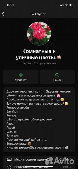 Комнатные растения и цветы