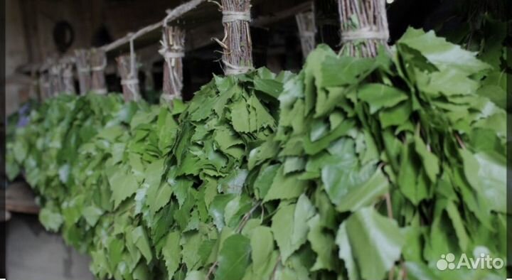 Веники для бани