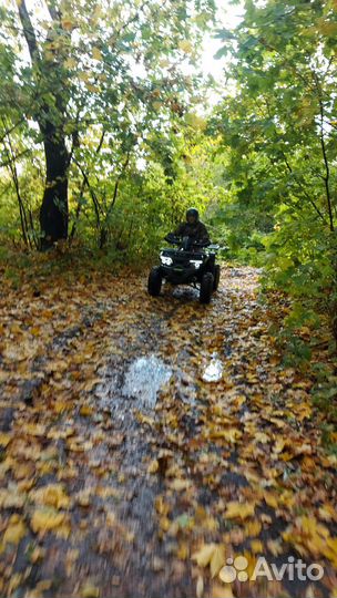 Квадроцикл мотоленд 200