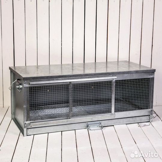 Брудер для перепелов, цыплят