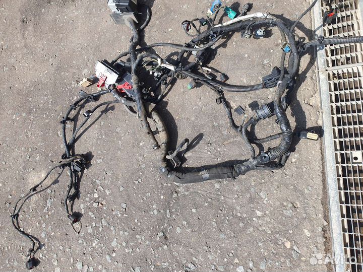 Проводка двигателя форд мондео 4 EcoBoost 2.0