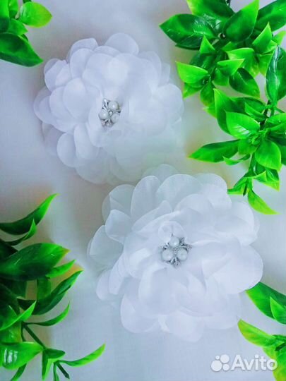 Белые банты