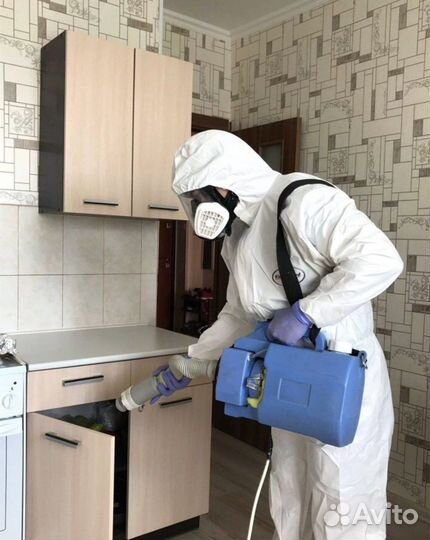Уничтожение насекомых,клопов тараканов Дезинсекция
