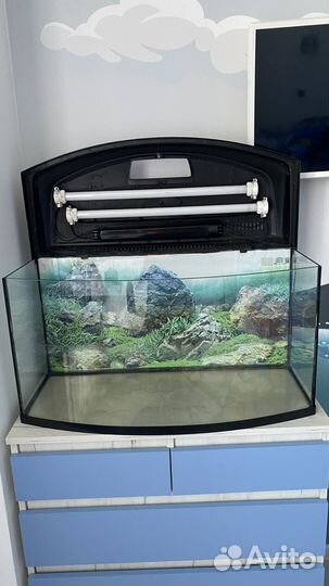 Аквариум 100 литров