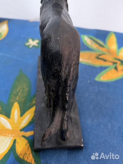 Русская псовая борзая Касли