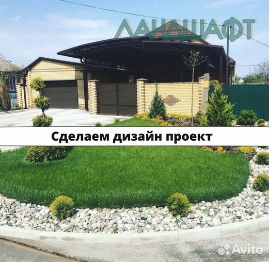 Рулонный газон от производителя Венюково