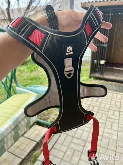 Шлейка для собак анатомическая размер L