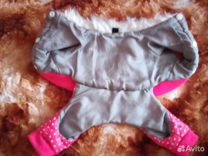 Одежда для маленьких собак xs