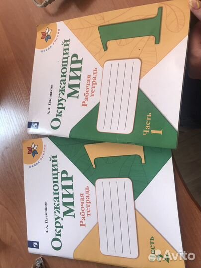Рабочая тетрадь по окружающему миру 1 класс